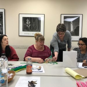 Wellness Working Staff